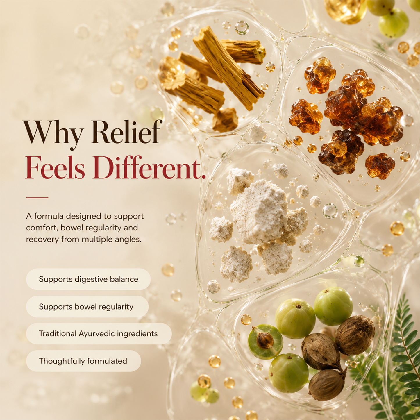 Jolly Vaseer Fast Relief Capsules | Advanced Ayurvedic Support for Piles, Fissure & Constipation | 60 Capsules