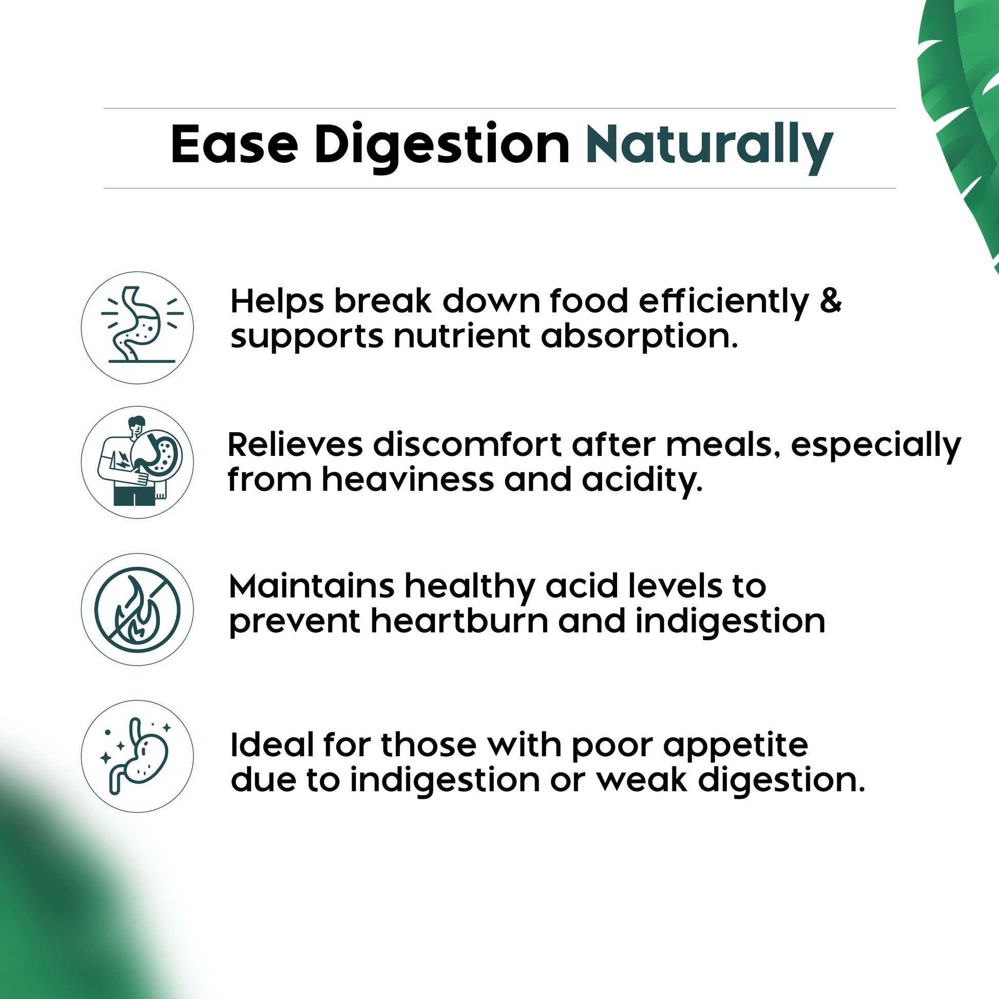 Enzyme51 – Ayurvedic Digestive & Gut Health Syrup Image 3