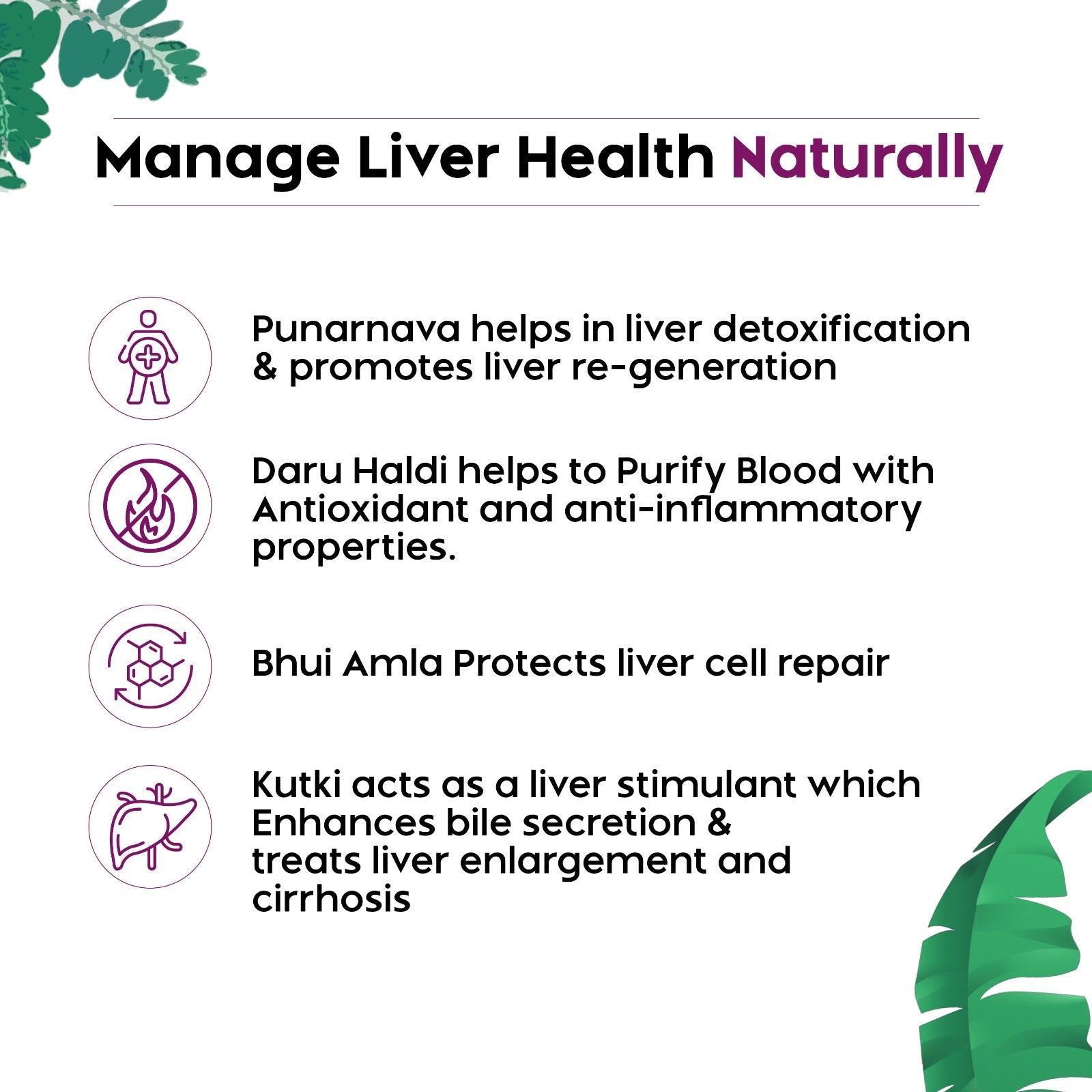 JollyLiv Ayurvedic Liver Syrup Image 2