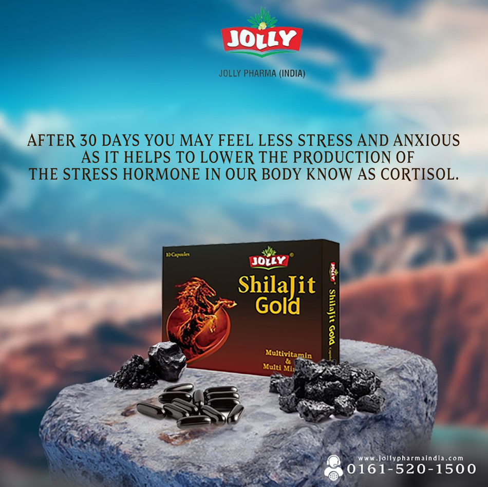 Jolly Shilajit Gold Capsules - Pack of 10 Capsules Image 6