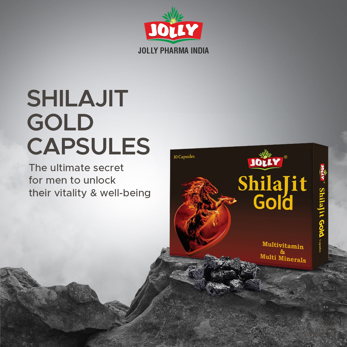 Jolly Shilajit Gold Capsules - Pack of 10 Capsules Image 7
