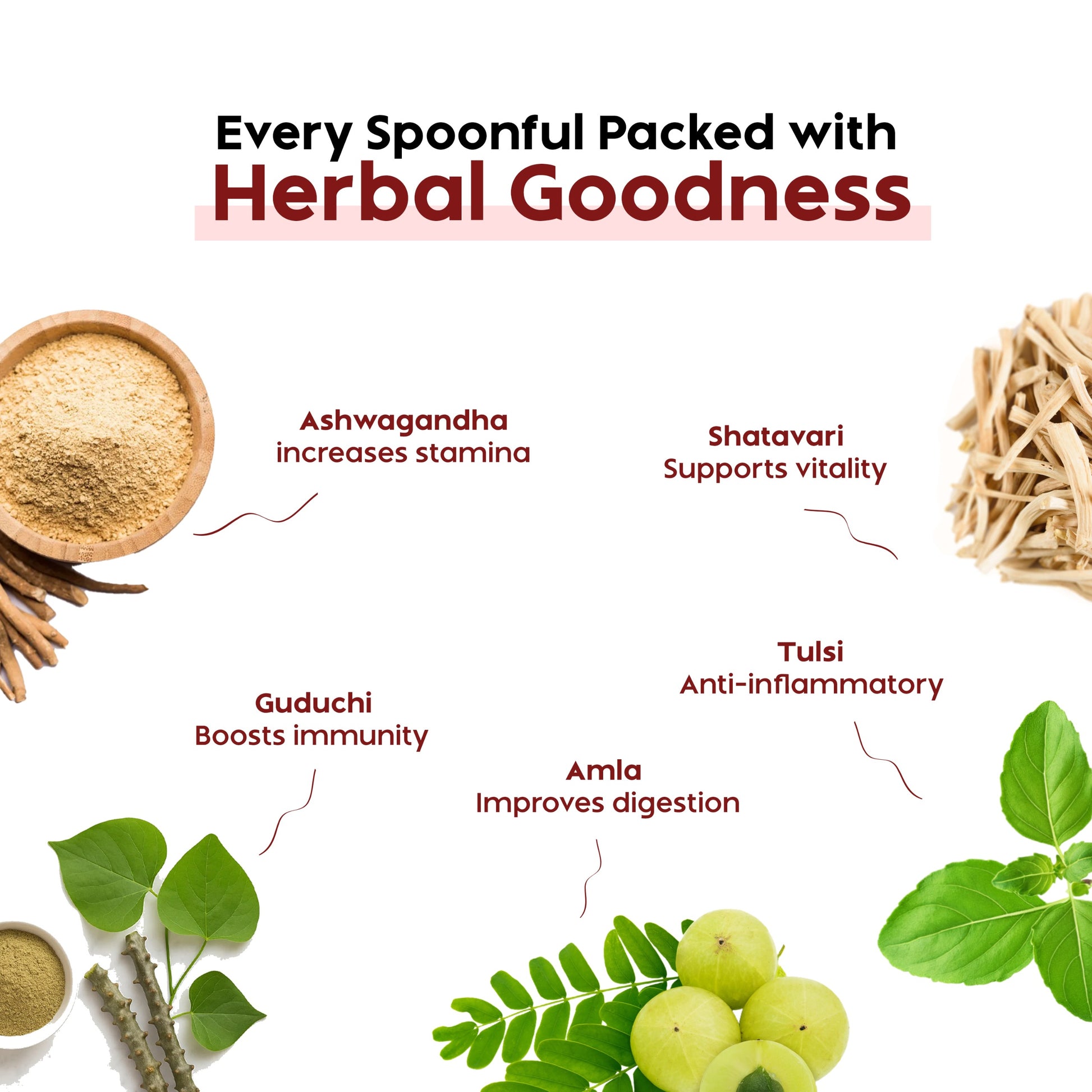 ReviForte – Ayurvedic Family Health & Energy Booster Tonic Image 3