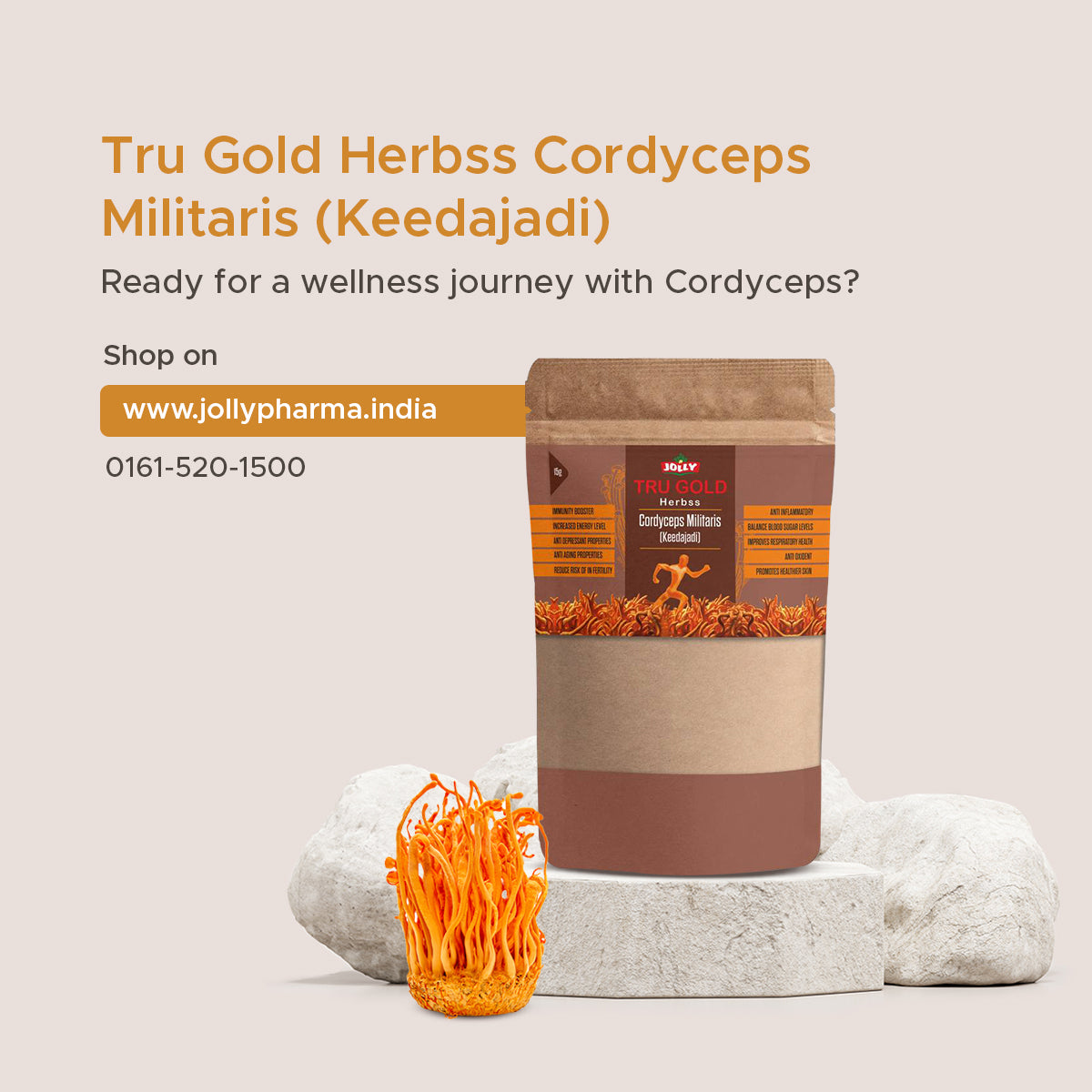 Tru Gold Herbss Cordyceps Militaris (Keedajadi) 15gms