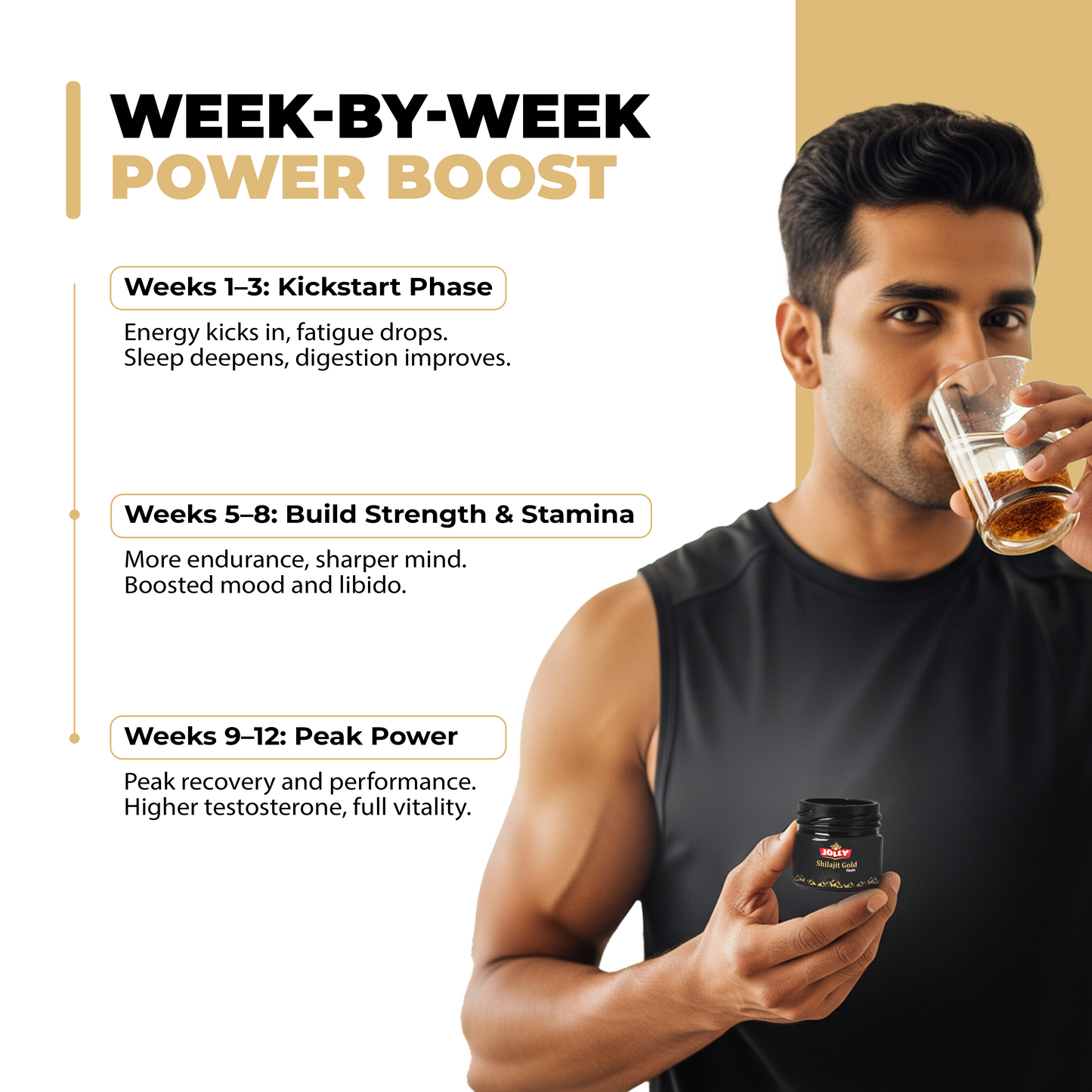 Jolly Himalayan Shilajit Resin - 20gm