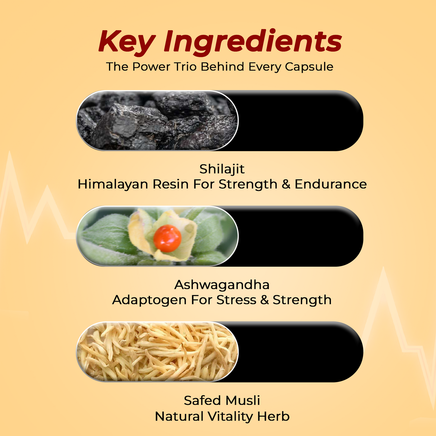 Jolly Shilajit Gold Capsules - Pack of 10 Capsules