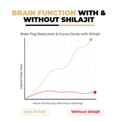 brain function with and without shilajit