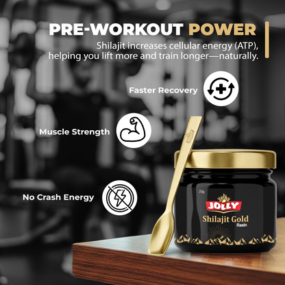 Jolly Himalayan Shilajit Resin - 20gm