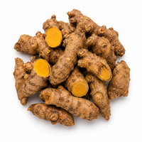 KACHUR / WILD TURMERIC