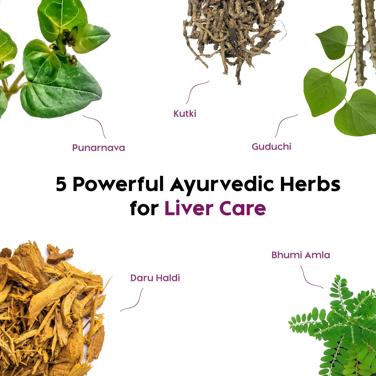 JollyLiv Ayurvedic Liver Syrup