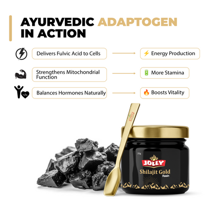 Jolly Himalayan Shilajit Resin - 20gm